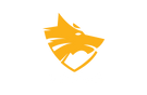 VOLGUN